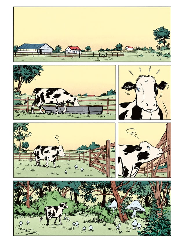 ijzerlijm-stripweb-5