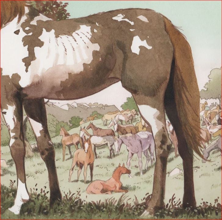 rossi-comanche-trail-2