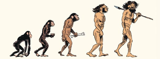 Sapiens als strip: David Vandermeulen van Smurfen naar wereldgeschiedenis