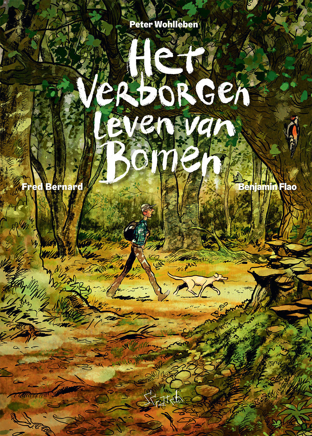 verborgen-leven-van-de-bomen