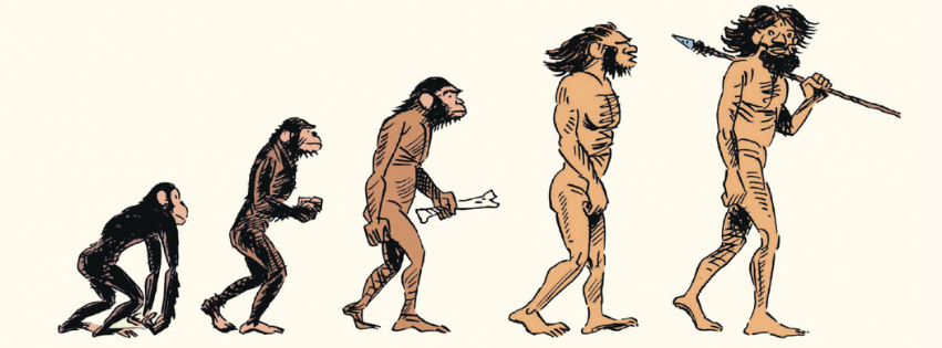 Sapiens als strip: David Vandermeulen van Smurfen naar wereldgeschiedenis-featured